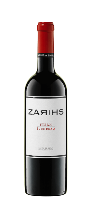 SPANJE, CAMPO DE BORGA, BORSAO, ZARHIS 2020