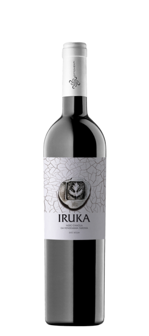 ITALIA, SICILIA 'Nero d'Avola' Iruka Ottoventi