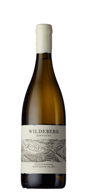 SOUTH-AFRICA, STELLENBOSCH 'SAUVIGNON BLANC' WILDEBERG