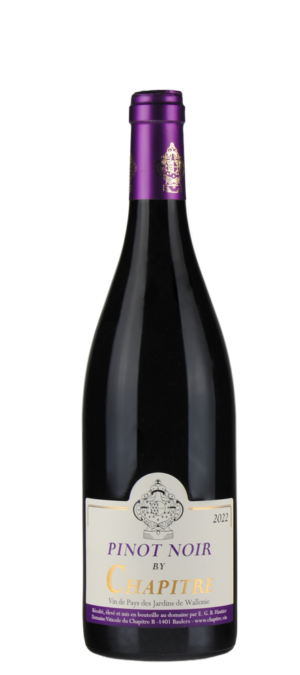 DOMAINE DU CHAPITRE Pinot Noir