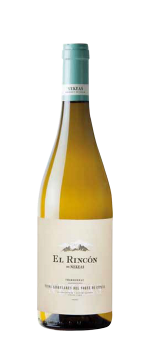 NAVARRA DO `El Rincon de Nekeas'Chardonnay' Fut