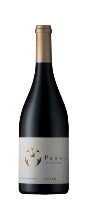 COLCHAGUA VALLEY 'Syrah' Ultra Premium Pangea Ventisquero