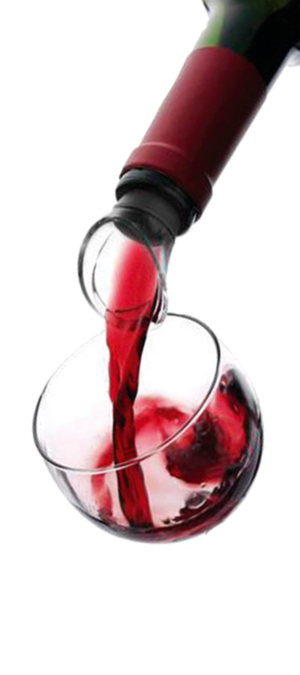 'WINE SERVER' VACUVIN