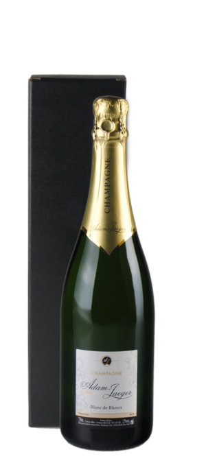 boîte cadeau avec une bouteille de champagne